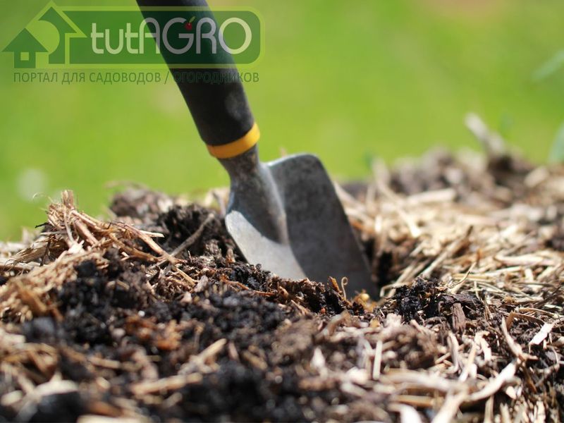 Соломенный гумус - AGROzen