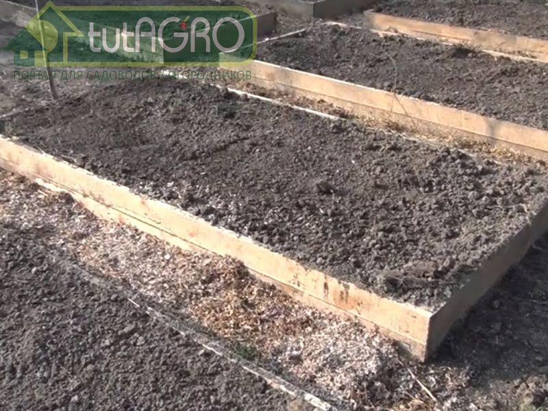 Заполнение высоких грядок слоями - AGROzen