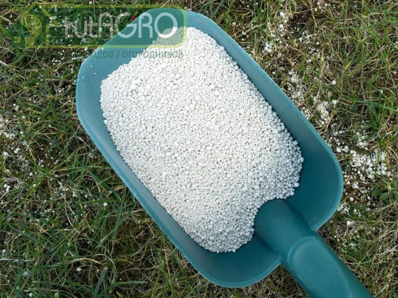 Можно ли обойтись без минеральных удобрений - AGROzen