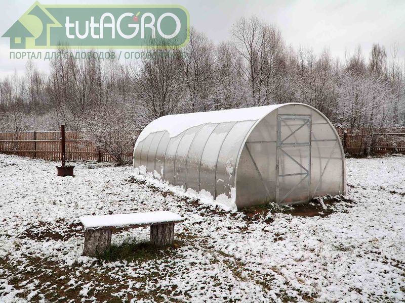 Поликарбонатная теплица зимой - AGROzen