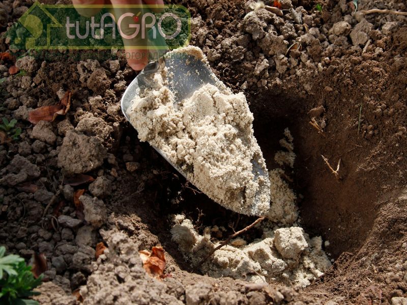 Показатель кислотности для растений - AGROzen