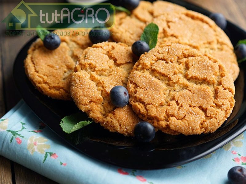 Медовое печенье «Золушка» - AGROzen