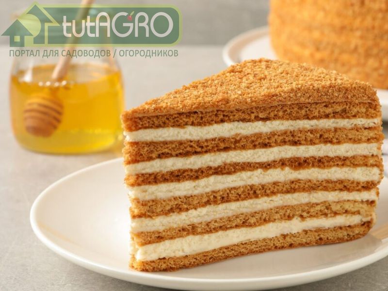 Рецепты блюд с мёдом. Кулинария - AGROzen