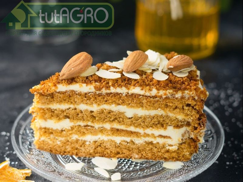 Сметанный торт с медом - AGROzen