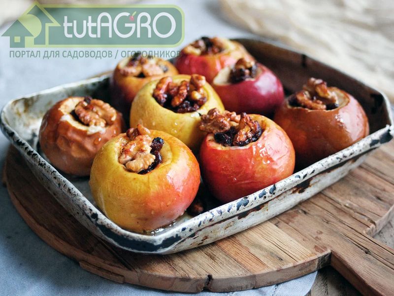 Запеченные яблоки с медом и орехами - AGROzen