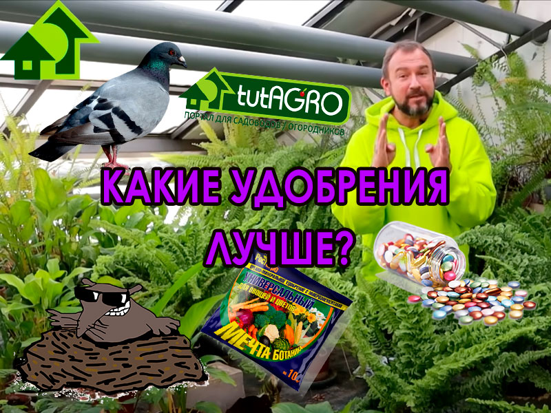 Чем лучше удобрять землю? Конечно, очень многое зависит от земли, от растений и... от кошелька! А еще - от вашего отношения к окружающей среде и своему здоровью. В этом видео расскажем вам о самых безопасных удобрениях - безопасных во всех отношениях! Какие удобрения лучше? Самые безопасные удобрения