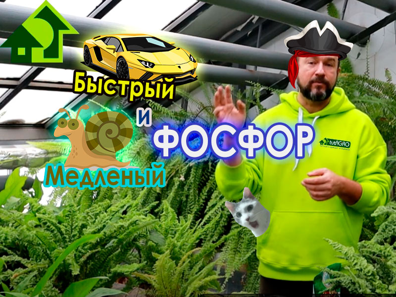 Костяная и фосфоритная мука.  Про нюансы использования этих удобрений смотрите в видео. Как выбирать, покупать, проверять и использовать. Видео AGROzen. Иван Русских. Костяная и фосфоритная мука.  Нюансы использования