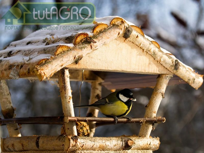 Если деревьев в саду не много, за одни выходные можно справиться с утаптыванием и забрасыванием их снежными сугробами - AGROzen