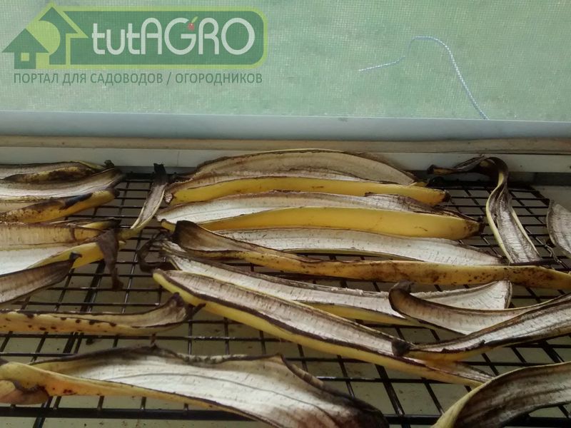 Замораживание кожуры банана - AGROzen