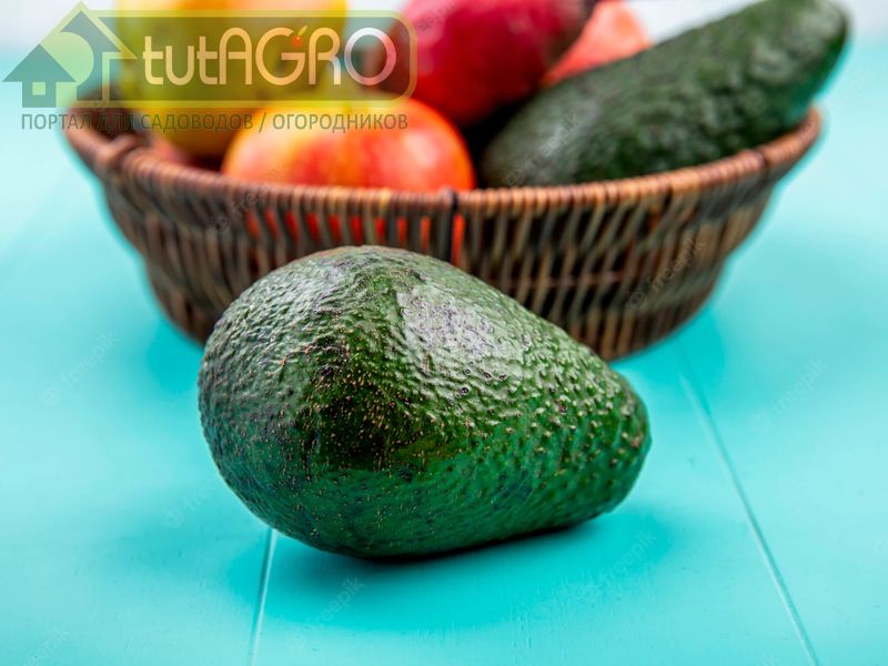 Ничего лишнего - AGROzen