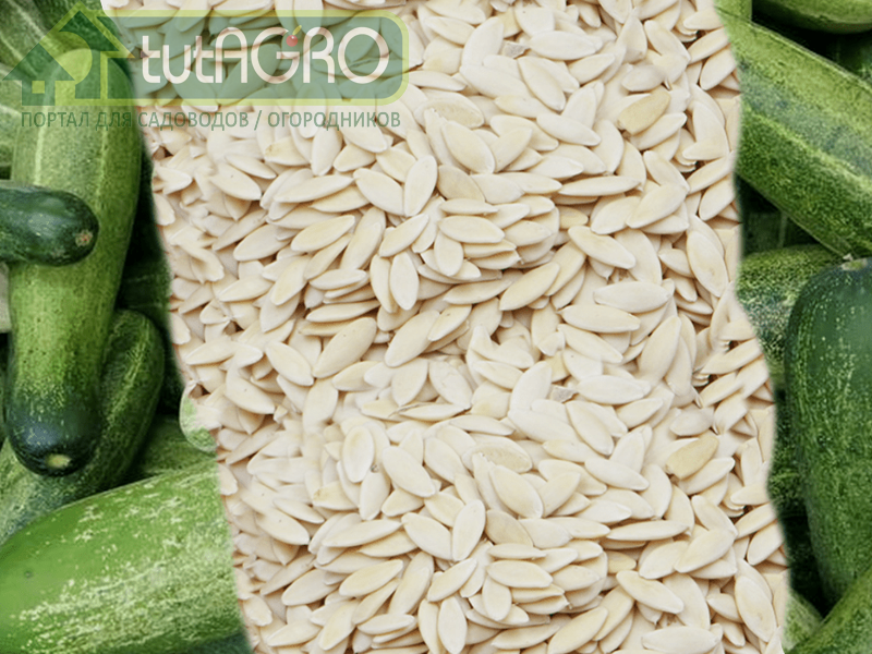 Партенокарпия - это образование плодов без опыления - AGROzen