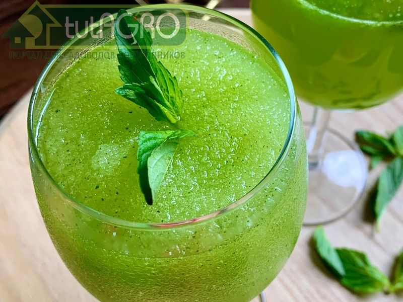 Мята. Все мяты содержат много полезных веществ - AGROzen