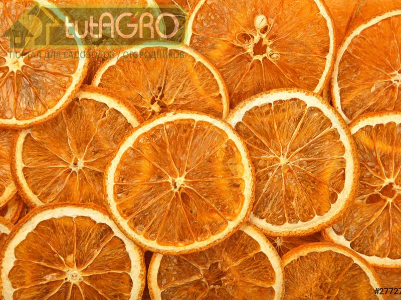 Чипсы из апельсина - AGROzen