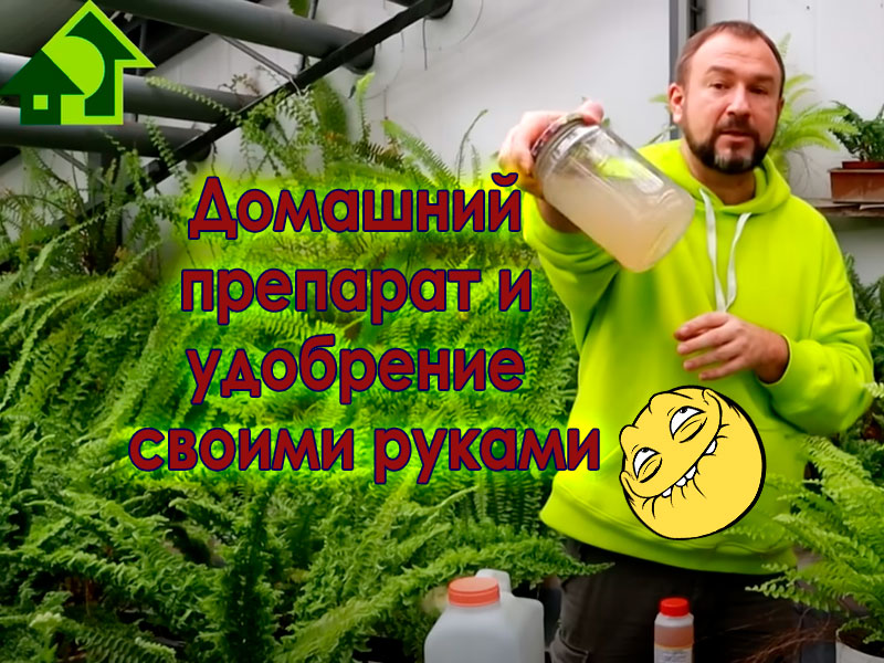 Домашний препарат и удобрение своими руками на основе отходов - это совсем несложно. Рецепт узнаете из этого выпуска. Ничего не надо покупать - все из отходов. Доступен каждому. Он совершенно несложен для приготовления и очень эффективен для усиления роста и развития растений, для повышения урожайности и защиты от болезней.  От этого удобрения все растения в восторге!