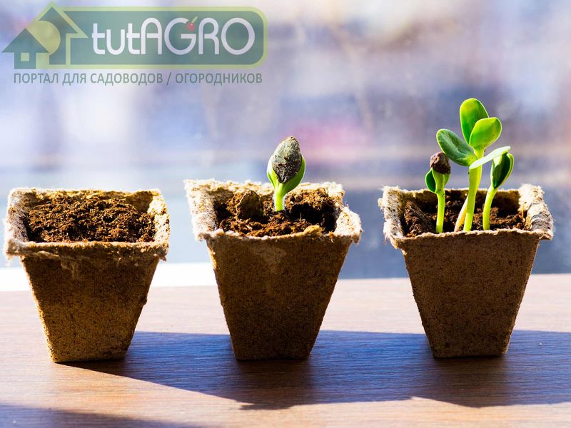 Не навреди! - AGROzen