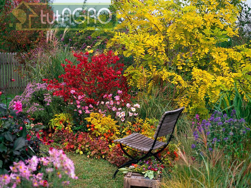 Красивые, но опасные - AGROzen