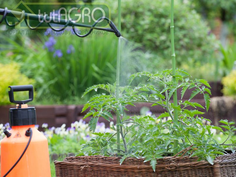 Применение субстрата «Друг садовода и огородника» - AGROzen