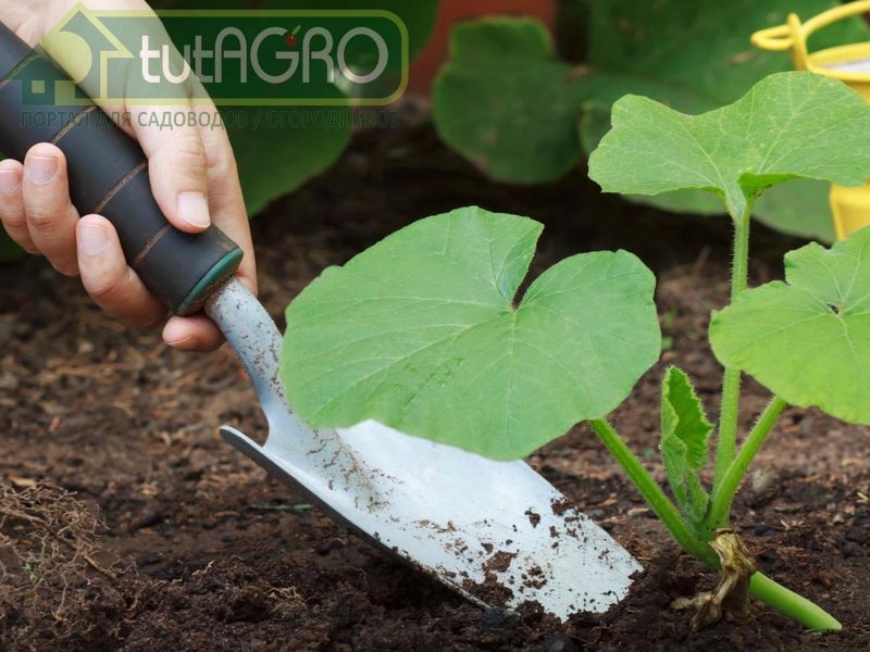 Совместимость субстрата - AGROzen