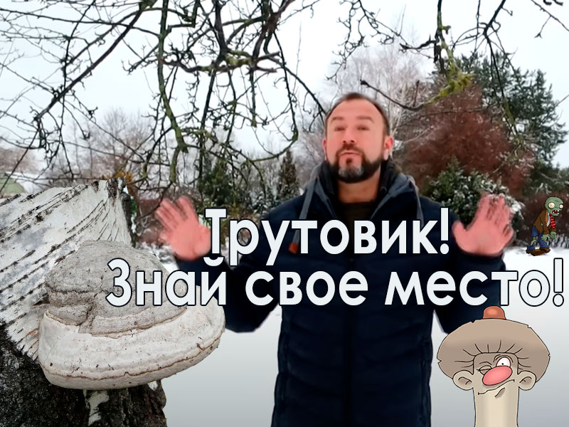 Обнаружили Трутовик в саду? Без паники! Считаете, что трутовики опасны и боитесь их использовать? Без паники! В этом выпуске все расставим по своим местам. Расскажем вам, почему трутовики нападают на ваш сад и что с этим делать. Стоит ли бояться трутовиков в саду? Трутовики в саду и огороде