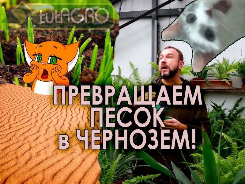 Чего бы такого положить в грунт для рассады, чтобы поменьше беспокоиться о подкормках и удобрениях? Ответ в этом выпуске! Как накормить растения без удобрений