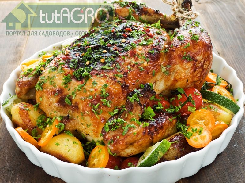 Простые рецепты с сельдереем - AGROzen