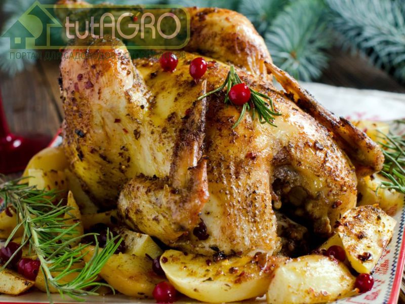 Жареный цыпленок с картофелем и сельдереем - AGROzen