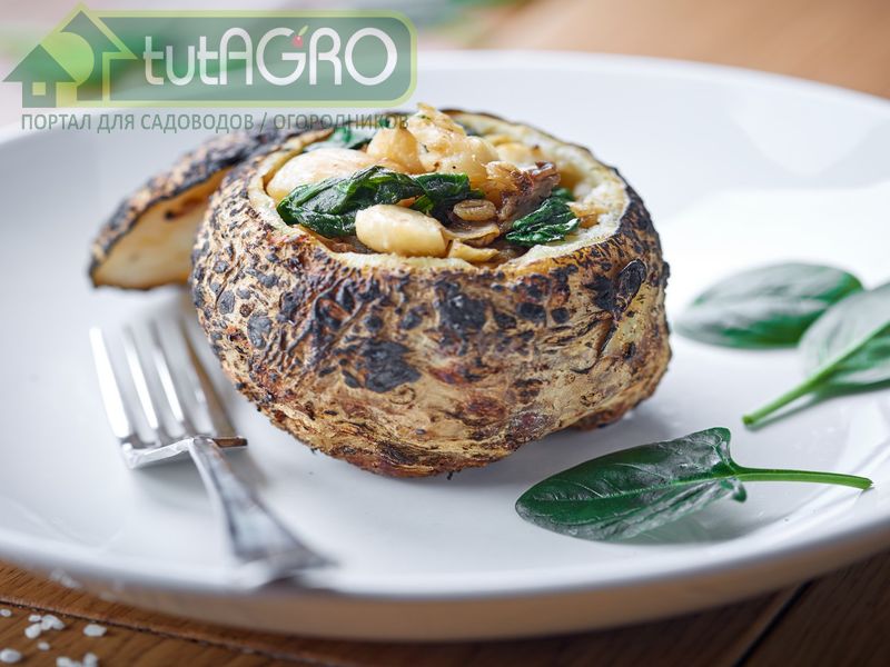 Запеченный сельдерей - AGROzen