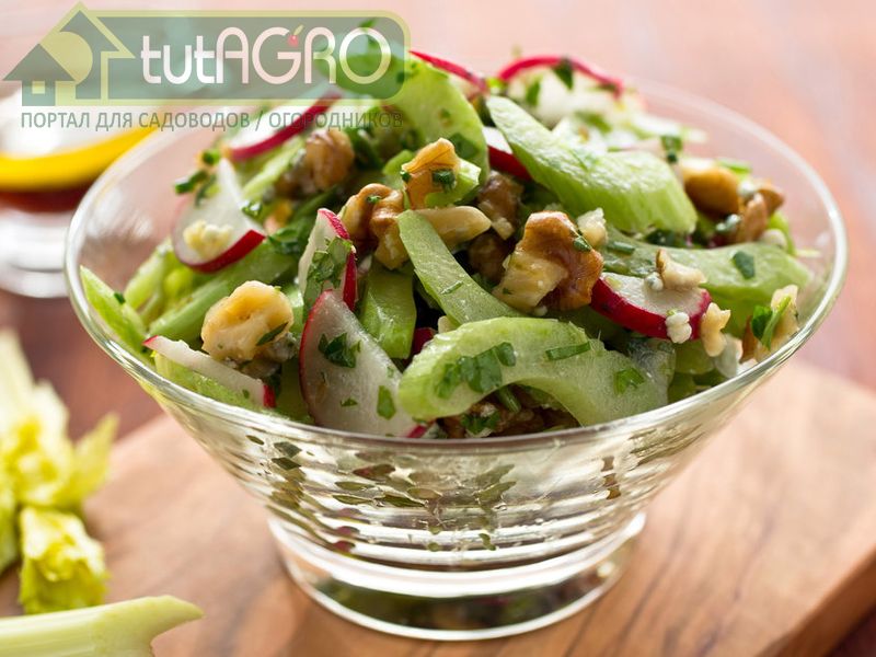 Салат по-провански - AGROzen