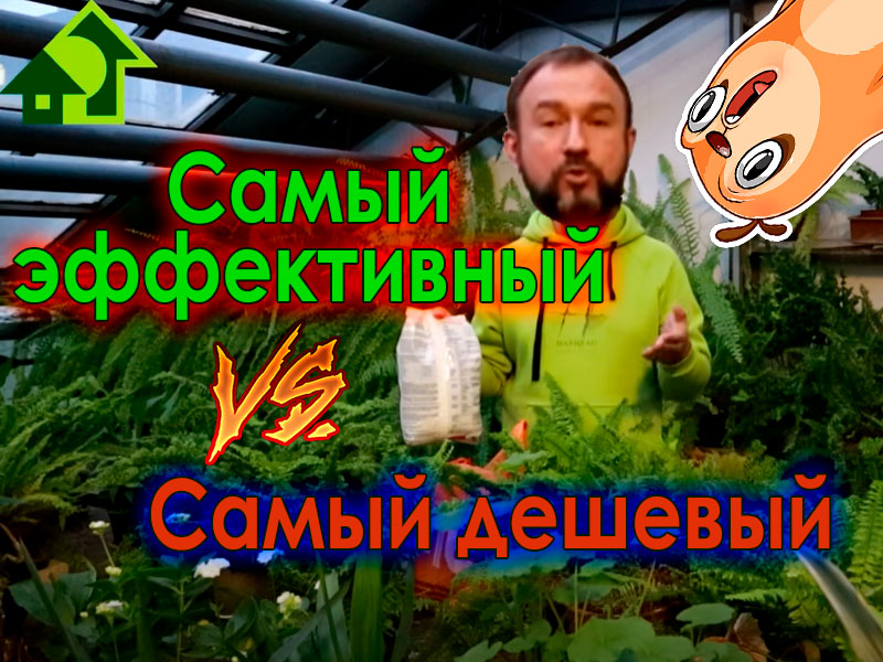 Как выбрать органические удобрения для рассады и огорода? Заходя в магазин, глаза разбегаются - что лучше схватить и использовать для подкормки растений? А все очень просто. В этом выпуске выбираем самый эффективный и самый дешевый вариант. Подробно рассказываем, почему стоит прикупить органические удобрения. Как в этом сезоне сэкономить на подкормках и вырастить богатый урожай. Выбираем органические удобрения