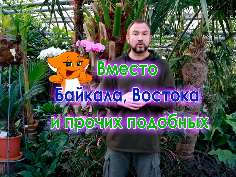 В этом выпуске поделимся мнением биолога и агронома относительно необычного способа подкормки растений. Раствор Бессараба для подкормки растений