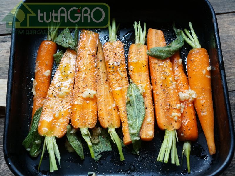 Запеченная морковь с фетой - AGROzen