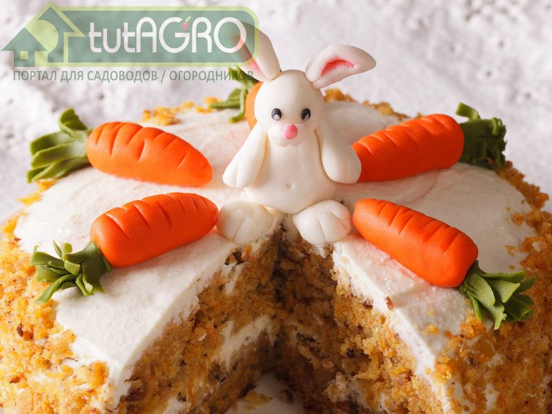 Рецепты вкусных блюд из моркови - AGROzen