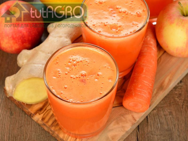 Смузи морковное - AGROzen