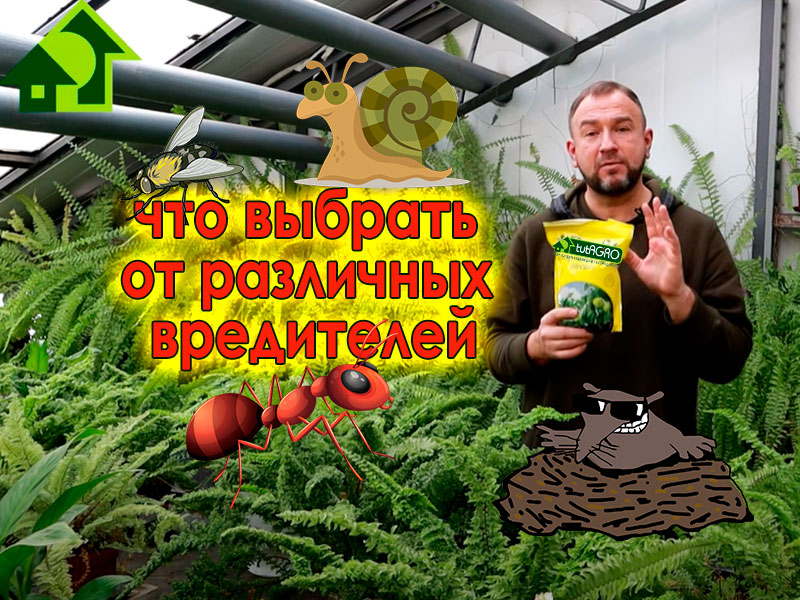 Как не растеряться в обилии разнообразных биопрепаратов? Что выбрать от различных вредителей? Боверию или Метаризиум? Все ответы смотрите в этом выпуске! Биопрепараты от вредителей. Что же выбрать?