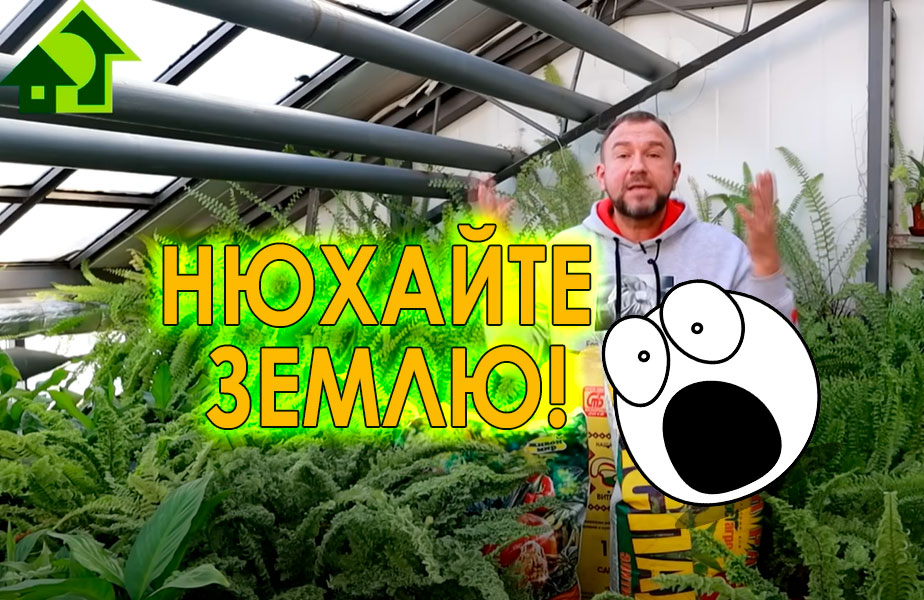 Диагностика почвы... по запаху! Часто воспоминания о лучших временах связаны с запахами, например, аромат спелых яблок или скошенной травы, но какой запах всего милее агроному? Ответ на этот вопрос в этом видео! Как выбирать грунт... по запаху?