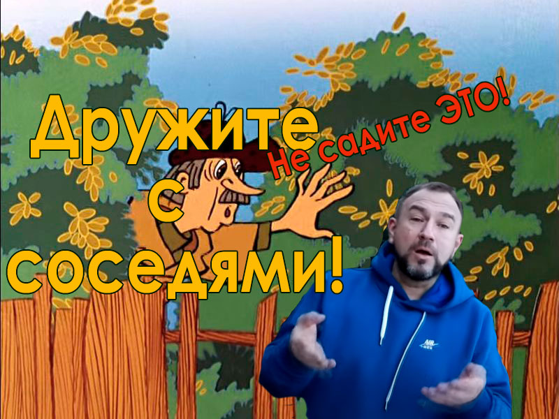 Какие растения высадить у забора? А что, если это забор по меже с соседями? К этому вопросу надо подойти очень щепетильно! В этом выпуске мы поделимся своими соображениями на этот счет. Уверены, что они будут вам полезны! Какие растения лучше не садить у забора