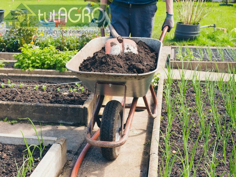 Все вопросы о компосте - AGROzen