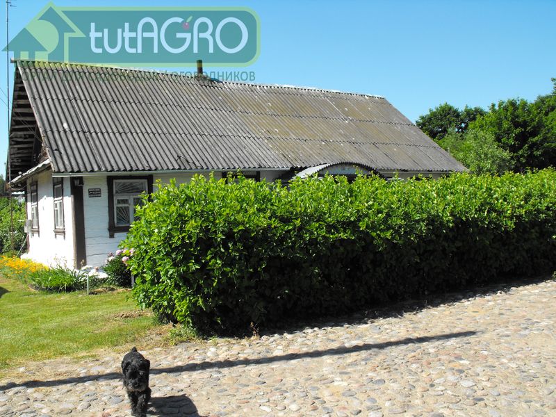 В Европе традиционны живые изгороди - AGROzen