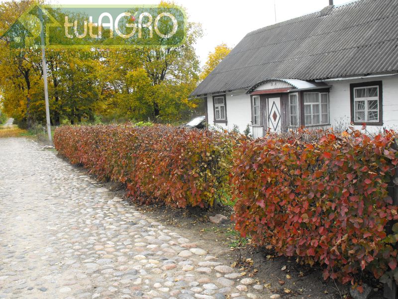 Цена забора складывается из его элементов: металла, работы, столбов, покраски - AGROzen