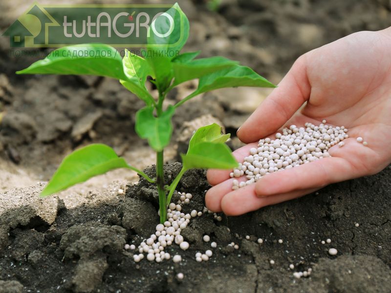 Схема применения и совместимость субстрата - AGROzen