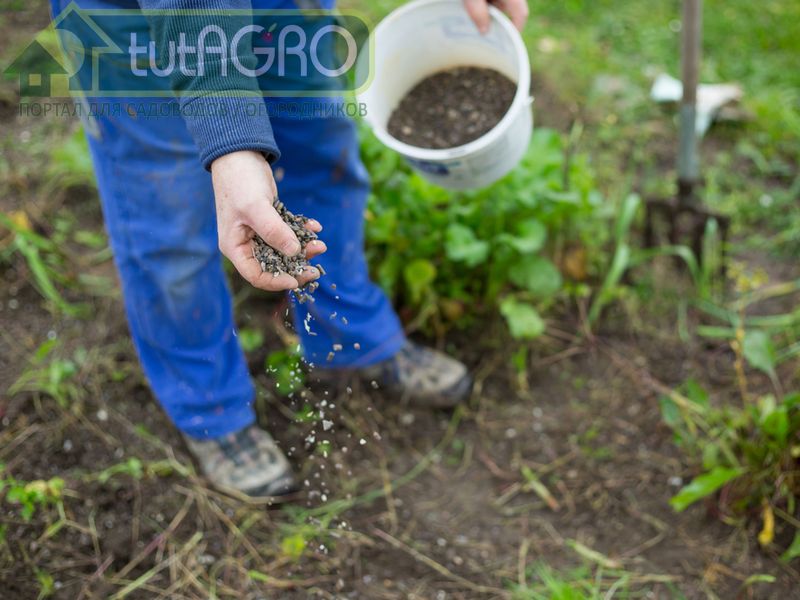 Субстрат «Защитник сада и огорода» - AGROzen