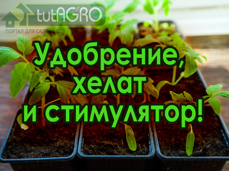 Делаем жидкое удобрение из... пера и шерсти! - AGROzen