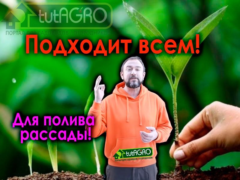 В этом ролике AGROzen и Иван Русских раскрывают секрет сенсационного способа ухода за растениями с помощью эндофитных азотфиксаторов, среди которых могут оказаться и метилотрофы.  Секрет микробного биопрепарата своими руками