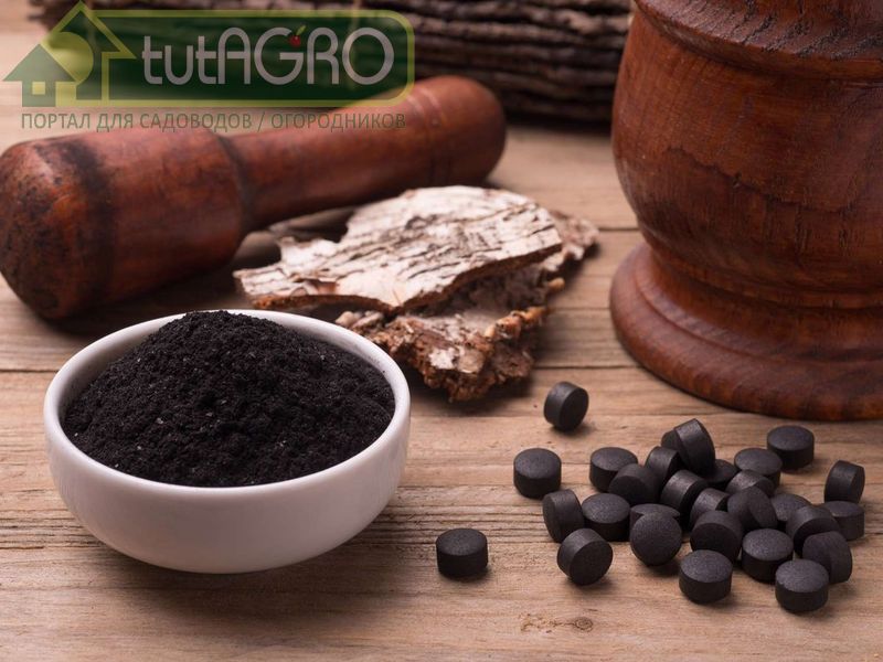 Вместо воды можно приготовить специальный состав, также оказывающий стимулирующее действие на семена - AGROzen