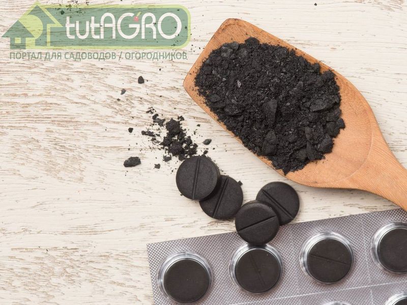 Использовать активированный уголь предельно просто - AGROzen