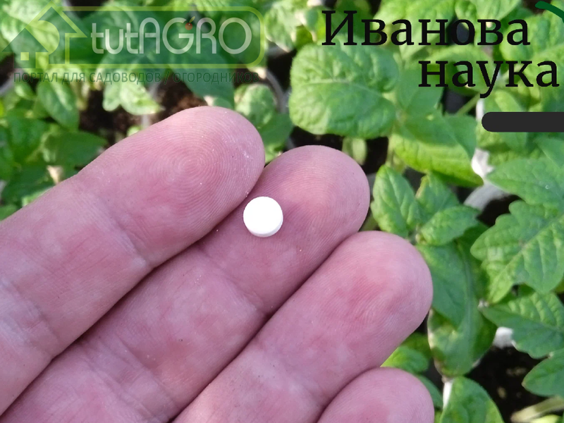 Маленькая таблетка с огромной силой - AGROzen