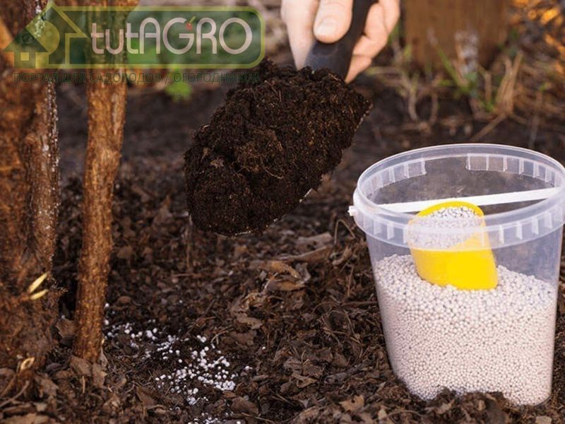 Вносите минеральные удобрения на глубину, а не поверхностно - AGROzen