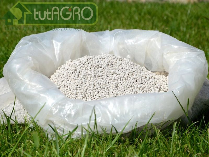 2 золотых правила подкормки сада - AGROzen