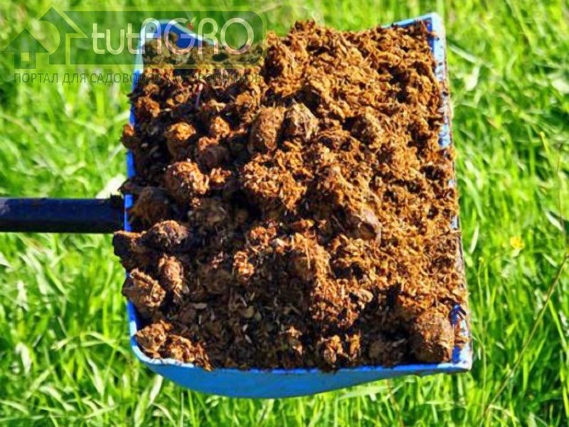 Какие удобрения лучше: минеральные или органические? - AGROzen