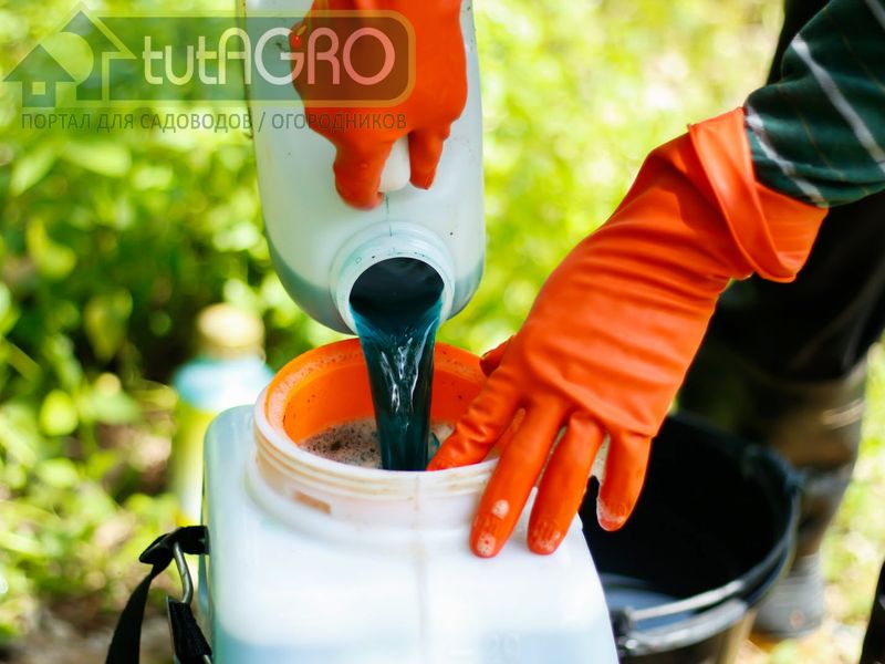 Обратная сторона гуматов - AGROzen.com